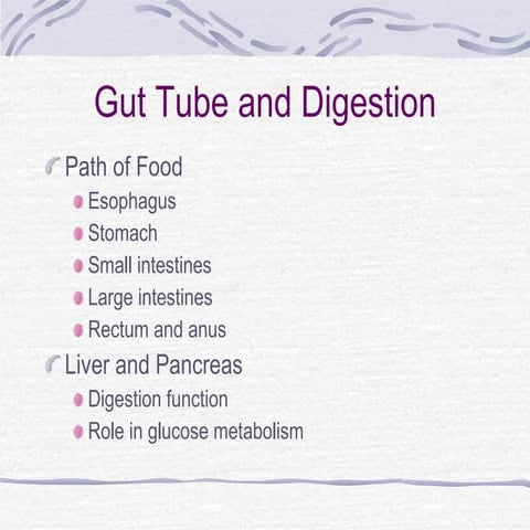 Digestion