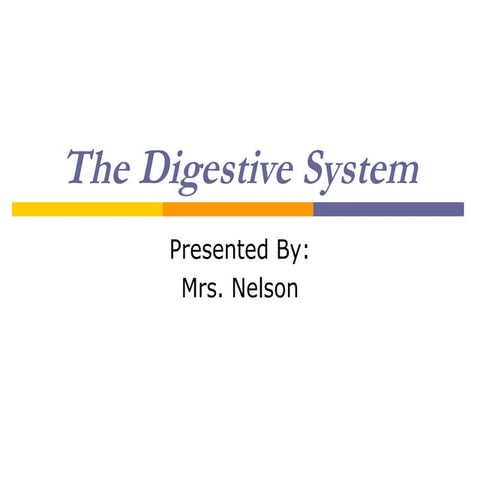 Digestion.ppt2012