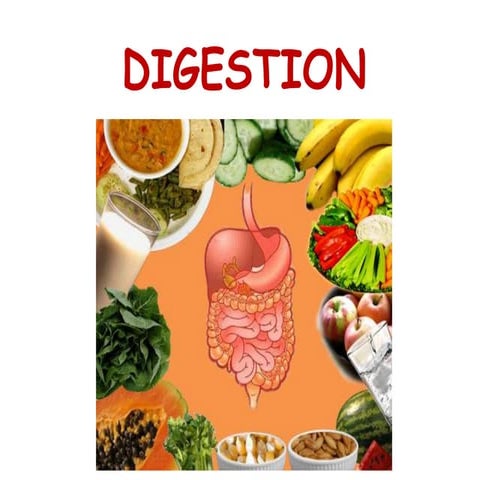 Digestion