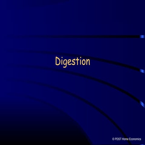 Digestion