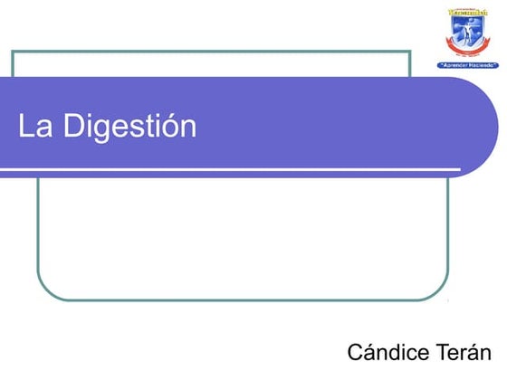Proceso De Digestion Pdf