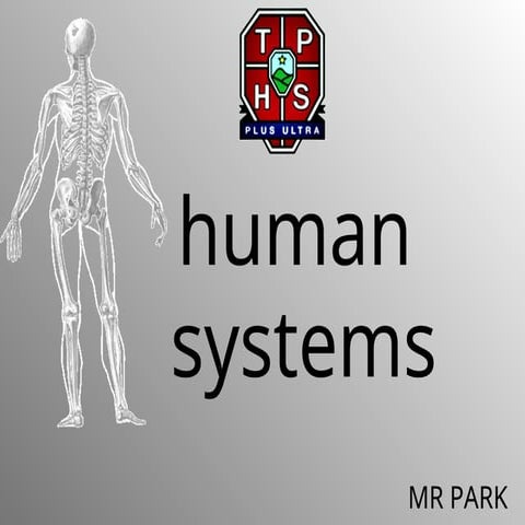 Digestionoffishinsectsandanimalsingasexchange.ppt