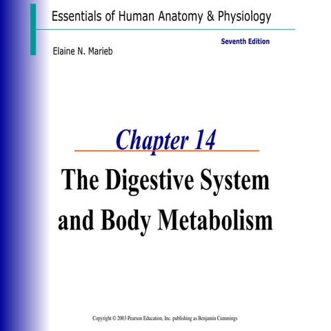 The process, types and functional aspects of digestion