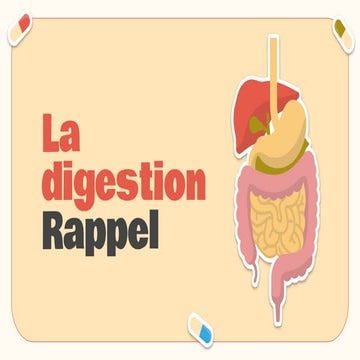 digestion alimentaire du système digestif