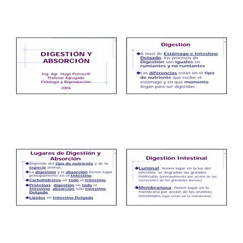 Digestion%20y%20 absorcion%202006