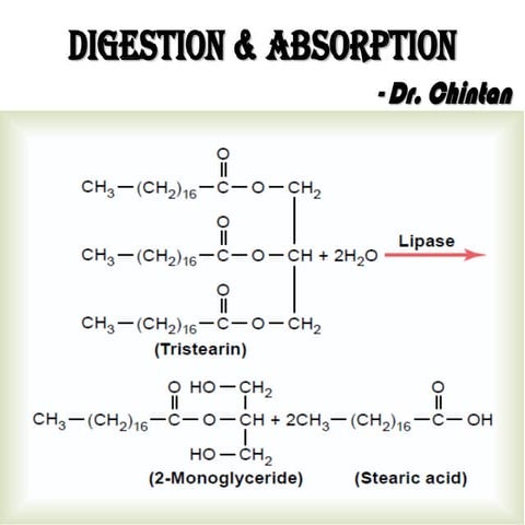 Digestion & absorption
