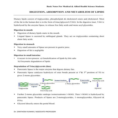 DIGESTION, ABSORPTION AND METABOLISM OF LIPIDS.docx