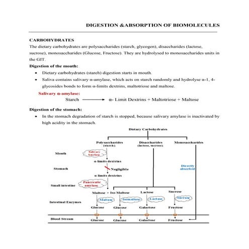 DIGESTION & ABSORPTION OF BIOMOLECULES by Dr. Santhosh Kumar N.docx