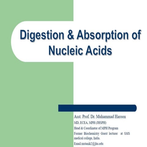 Digestion and Absorption of nucleic acids (Biochemistry)