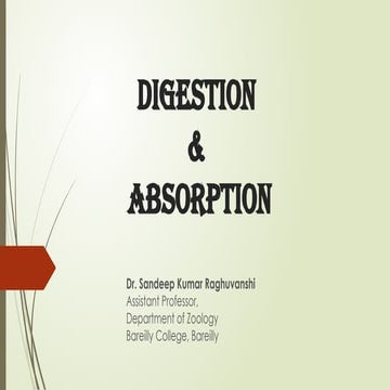 Digestion and Absorption in human beings.pptx