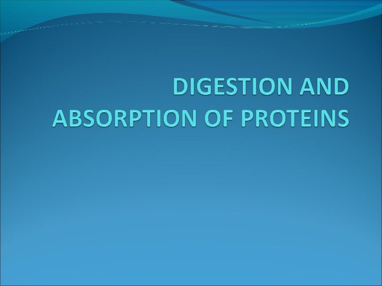 Digestion and absorption of proteins