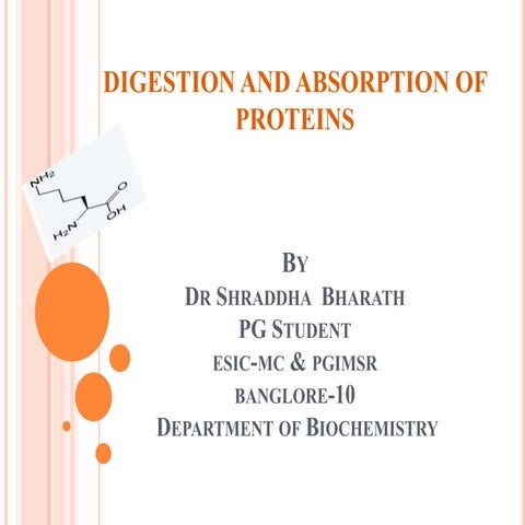 Digestion and absorption of proteins