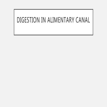 Digestion in alimentary canal | PPT