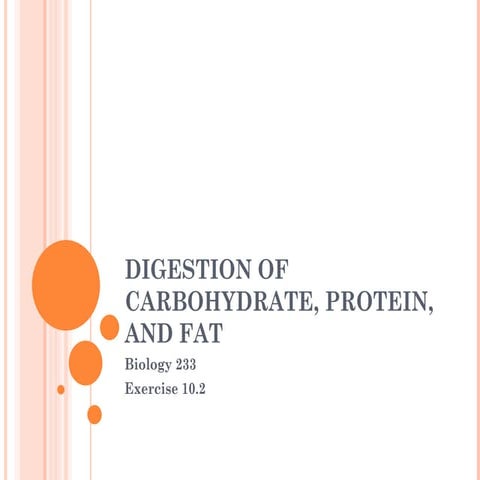 Digestion of Carbohydrate, Protein, and Fat.ppt