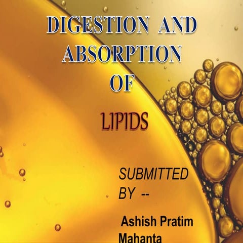 Digestion of lipids