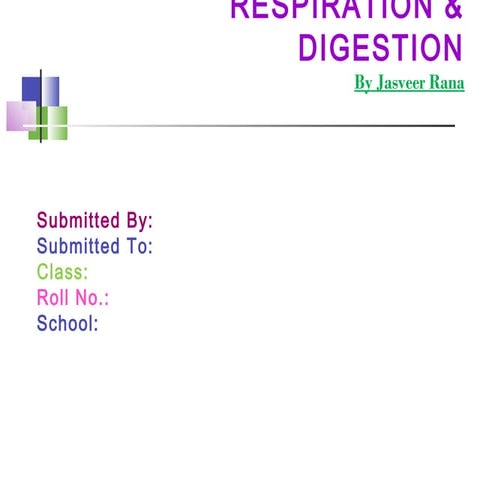 Digestion & Respiration by Jasveer Rana