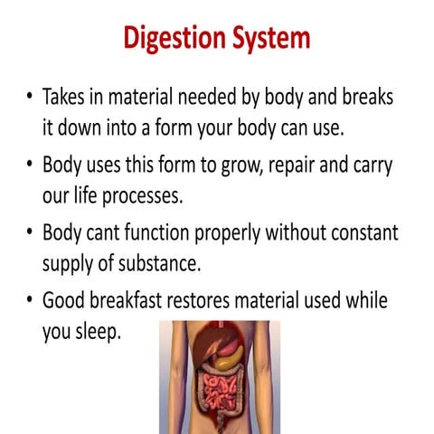 Digestion system