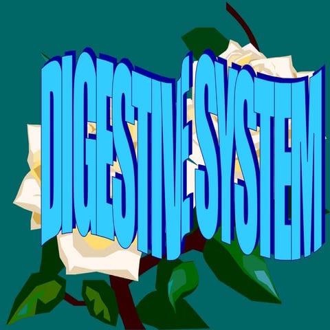 Digestive system interesting!