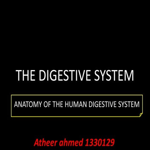 Digestive | PPTX