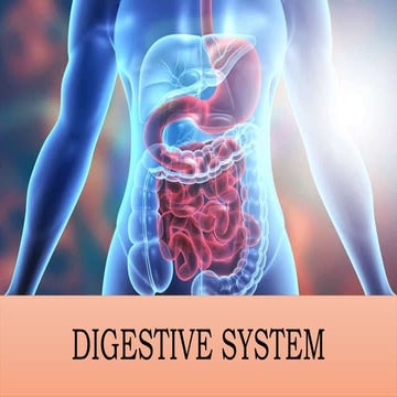 digestive-system-accesory.pptx