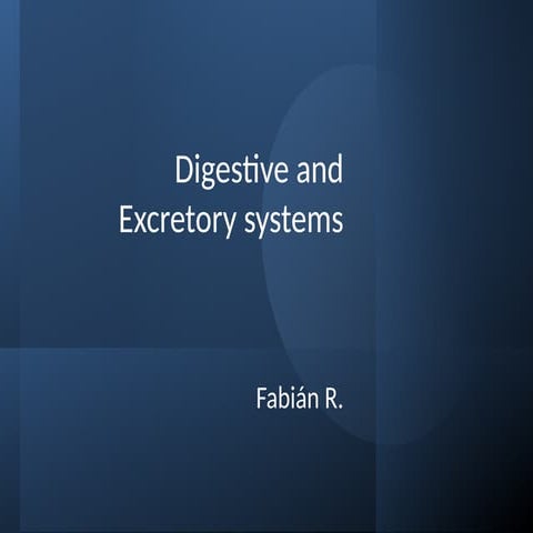 digestive and excretory systems. For 12 graders | PPTX