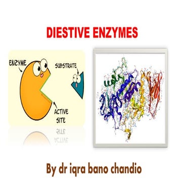 DIGESTIVE ENZYMES.pdf