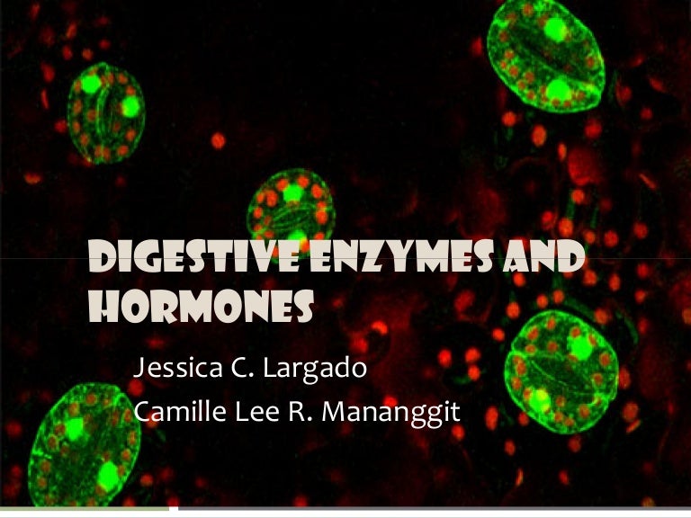 Digestive enzymes and hormones