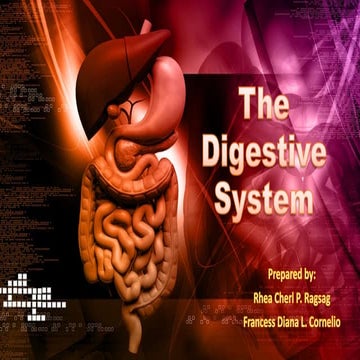 DIGESTIVE FINAAAAL.pptx