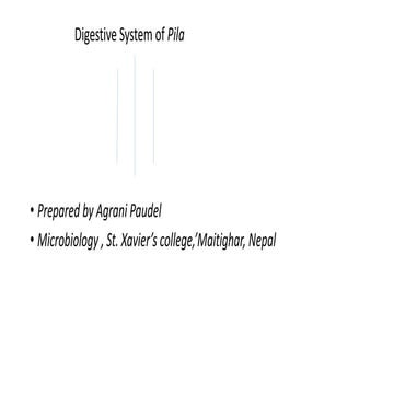 Digestive glands Of Pila globusa
