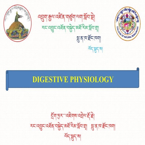 Digestive physiology of farm animals