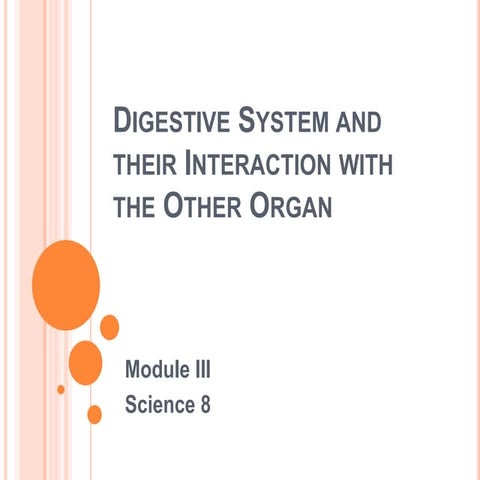Digestive System and their Interaction with Other Organ