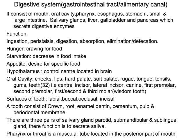 Digestive System