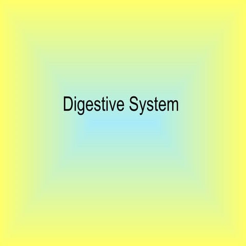 Digestive System