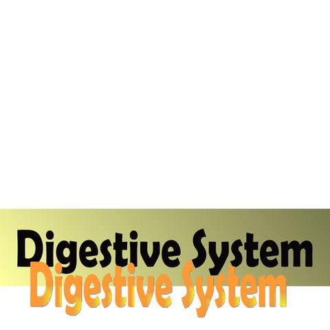 Digestive system