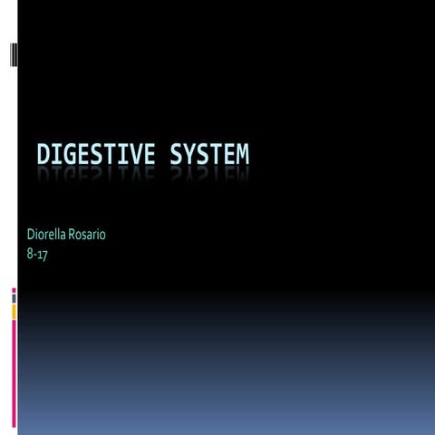 Diorella's Digestive System Powerpoint 