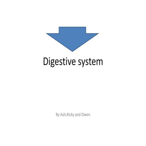 Digestive system!