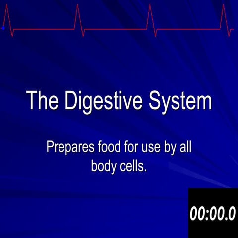 Digestive system