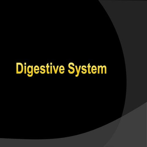 Digestive system
