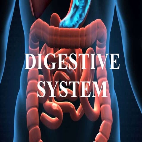 Digestive system | PPTX
