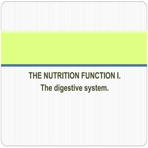 The digestive system.