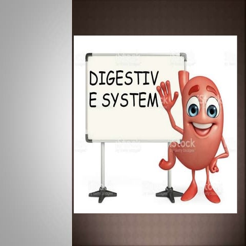 Digestive System