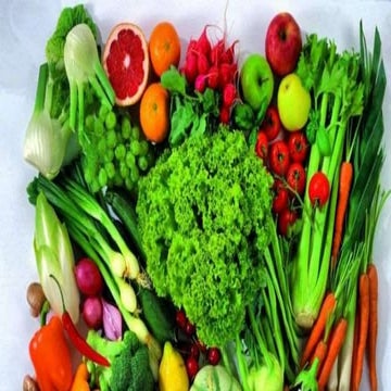 Digestive system Grade 6