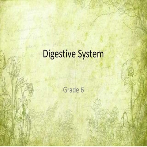 Digestive system