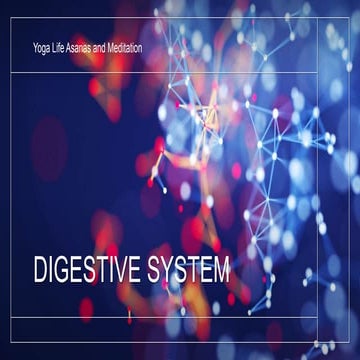 Digestive system