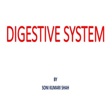 Digestive system