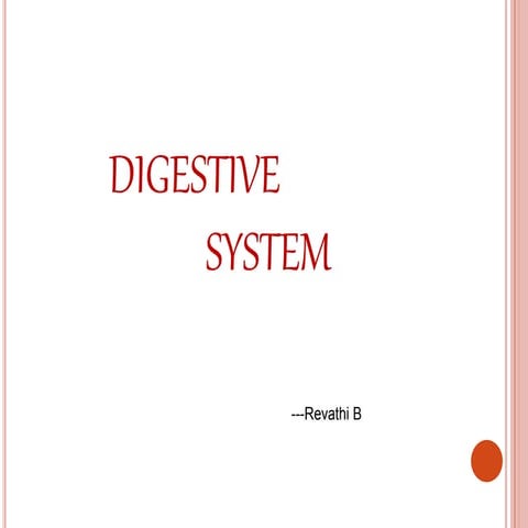 Digestive system