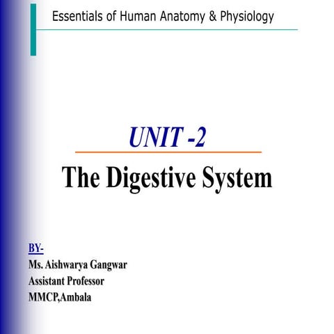 digestiVE SYSTEM.ppt