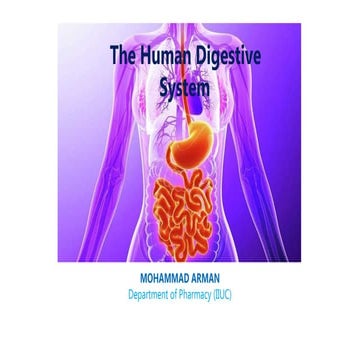 Digestive system.pptx