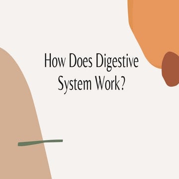 Digestive system Lesson for Grade 6 students.pdf