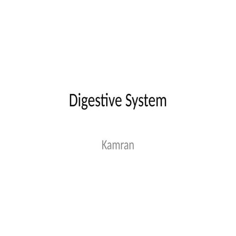 Digestive System.pptx by maam Ayesha shamim